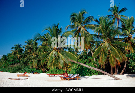 Strand auf Maledivian Insel Malediven Indischer Ozean Medhufushi Meemu Atoll Stockfoto