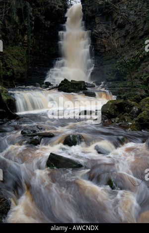 Mill Gill Force in der Nähe von Askrigg in Wensleydale Stockfoto