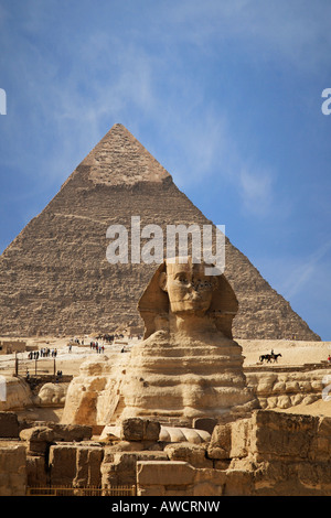 Große Sphinx von Gizeh in der Nähe von Kairo, Ägypten, Nordafrika, Afrika Stockfoto