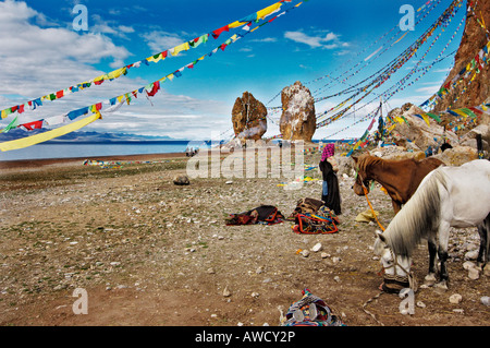 Pferde auf der Stein-paar und Gebet Fahnen, Nam-Tsho-Lake, Tibet Stockfoto