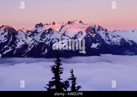 Sonnenaufgang über den Olymp und Hoh River Valley, Olympic Nationalpark, Washington State Stockfoto