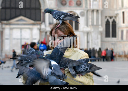 Tauben (ONCFS) am Piazza San Marco, Venedig, Veneto, Italien, Europa Stockfoto