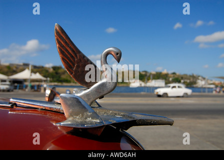 Detail, Oldtimer in Havanna, Kuba, Karibik, Amerika Stockfoto