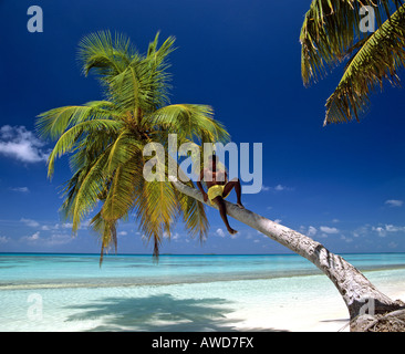 Junger Mann sitzt in Palme am Strand, Malediven, indischen Ozean Stockfoto