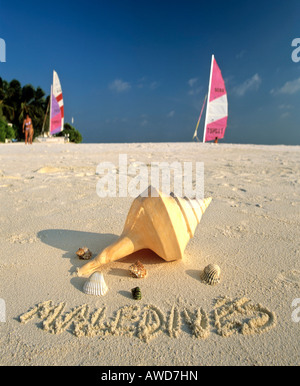 Muscheln am Strand, "Malediven" geschrieben in Sand, Malediven, Indischer Ozean Stockfoto