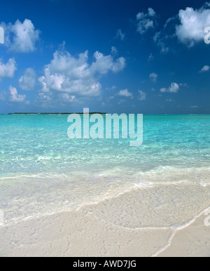 Strand, Insel, Malediven, Indischer Ozean Stockfoto