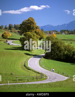 Kurvenreichen Landstraße in der Nähe von Riegsee See während Herbst, Upper Bavaria, Bavaria, Germany, Europe Stockfoto