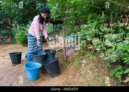 Junge Frau sammeln von Wasser an der Quelle, Mae Ra Camp für burmesische Flüchtlinge, Maesot, Thailand Stockfoto