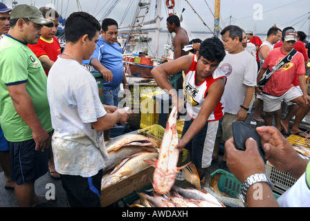 Fischmarkt "Ver-O-Peso" in Belem, Para, Brasilien Stockfoto