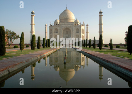 Taj Mahal im Morgenlicht, Agra, Indien Stockfoto