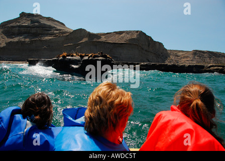 Seelöwen-Kolonie in der Nähe von Puerto Pirámides, Península Valdés, Provinz Chubut, Patagonien, Argentinien Stockfoto