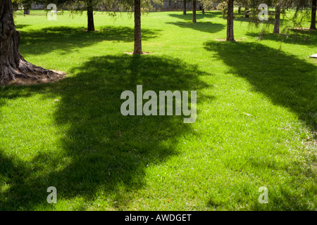 A park in Beijing, People's Republic of China Stockfoto