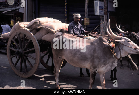 Eine Ochsekarre trägt eine Last entlang einer Straße in Trivandrum im Bundesstaat Kerala in Südindien Stockfoto