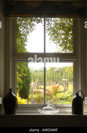 EIN FENSTER MIT BLICK AUF EINEN WEINBERG UK Stockfoto