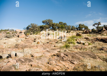 Enchanted Rock State Natural Area, Fredericksburg, Texas Stockfoto