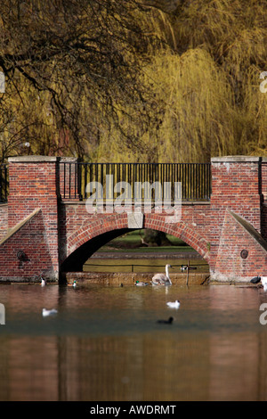 Gemauerte Brücke über Wasser Verulamium Park St Albans Stockfoto
