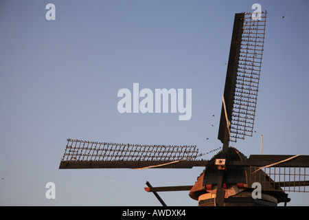 Stare Schlafplatz auf einer Windmühle in Kinderdijk, Holland Stockfoto