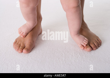 Zwei Babys Füße auf zwei große Füße Stockfoto