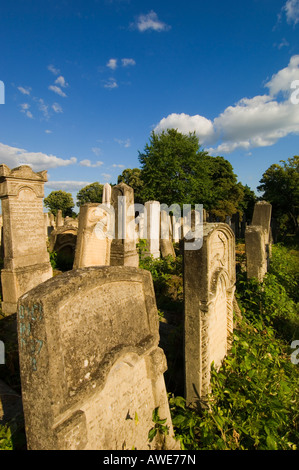 Europa-Rumänien Moldawien Iasi jüdischer Friedhof Stockfoto