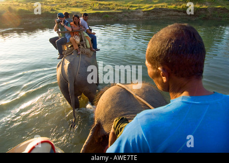 auf der Rückseite ein Elefant MAHOUT SAFARI zurück Touristen auf Elefanten Reiten im Nationalpark Royal Chitwan Nationalpark NEPAL Asien Stockfoto