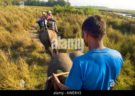 auf der Rückseite ein Elefant MAHOUT SAFARI zurück Touristen auf Elefanten Reiten im Nationalpark Royal Chitwan Nationalpark NEPAL Asien Stockfoto