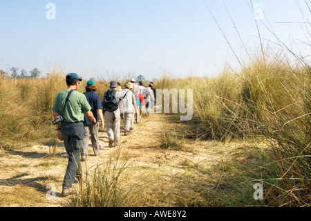 Wanderer Wanderer Trekkies trekky trek Wanderer Rambler trekking im Royal Chitwan Nationalpark Chitwan Nationalpark NEPAL Asien Stockfoto