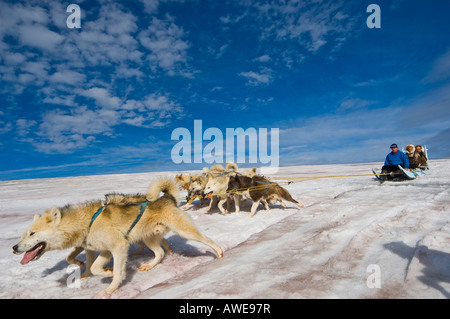 Hundeschlitten-Team auf der Diskoinsel (Qeqertarsuatsiaq), Grönland, Nord-Atlantik Stockfoto