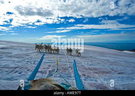 Hundeschlitten-Team auf der Diskoinsel (Qeqertarsuatsiaq), Grönland, Nord-Atlantik Stockfoto