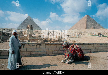 Kamel und Besitzer vor links der Chephren-Pyramide und Sphinx rechts der Cheops Pyramide Gizeh-Ägypten Stockfoto