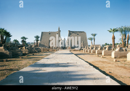 Der Tempel von Luxor und seine Avenue of Ram leitete Sphinxen Luxor am Ostufer des Flusses Nil Ägypten Stockfoto