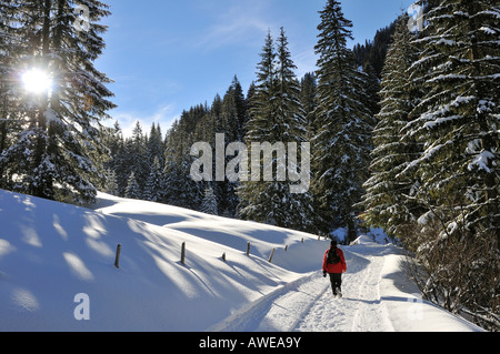 Winter im Kleinwalsertal, Österreich, Europa Stockfoto