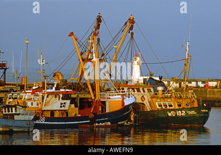 Fischkutter vertäut im Hafen von Newlyn während Malerarbeiten, Cornwall, UK durchgeführt wird Stockfoto