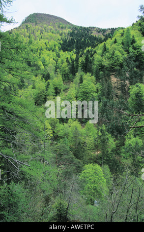 Malerische Aussicht Karavanken Alpen Kärnten Österreich Stockfoto