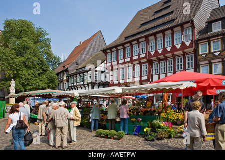 Marktstände vor reich verzierten Fachwerk-Stil (Fachwerk-, Fachwerk-) Häusern in Einbeck, Niedersachsen, Deutschland, Europa Stockfoto