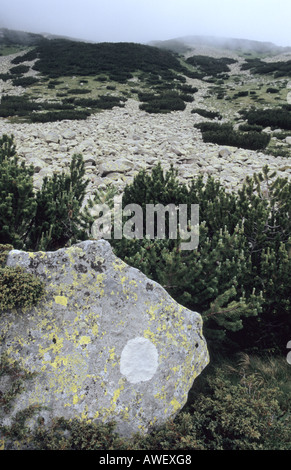 Malerischen Felsen im Nationalpark Pirin Bulgarien Stockfoto