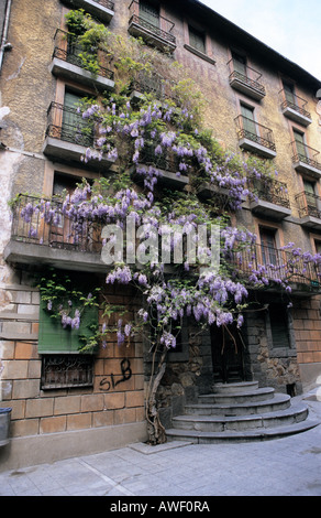 Blühende Wisteria umfasst ein historisches Haus in Andorra Andorra la Vella Stockfoto
