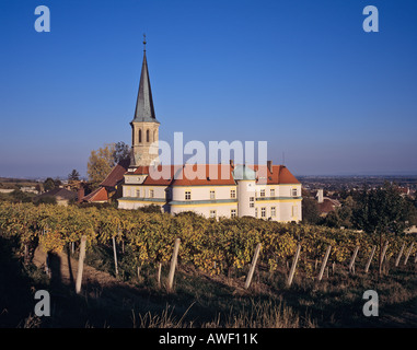 Schloss des Deutschen Ordens in einem Weinanbaugebiet, Gumpolskirchen, Niederösterreich, Österreich, Europa Stockfoto