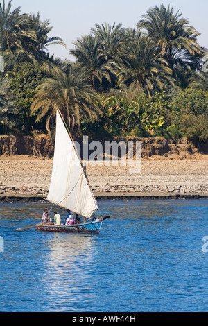 Feluke Segeln auf dem Nil an sonnigen Tag mit blauem Himmel Nordafrika Ägypten Stockfoto