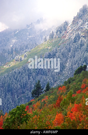 Eine beeindruckende Szene in American Fork Canyon, Utah, USA. Hier treffen sich auf Mount Timpanogos 2 Jahreszeiten w / Farben und einer Prise weiß. Stockfoto