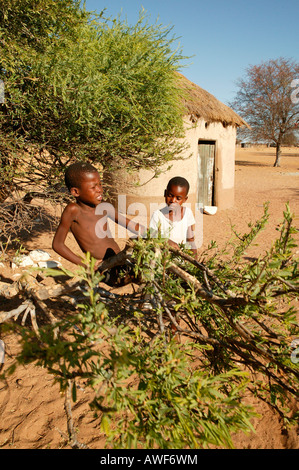 Zwei Jungs spielen mit einem Zweig, Cattlepost Bothatogo, Botswana, Afrika Stockfoto