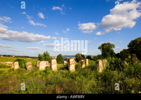 Europa-Rumänien Moldawien Iasi jüdischer Friedhof Stockfoto