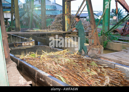 Lastkähne verwendet für den Transport von Zuckerrohr, Demerara Provinz, Guyana, Südamerika Stockfoto