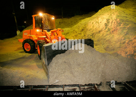 Bagger laden Abfälle aus Zuckerrohr Produktion, Demerara Provinz, Guyana, Südamerika Stockfoto