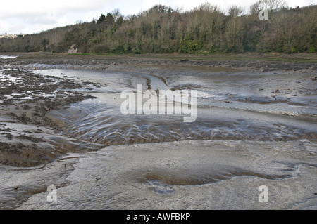 Die Gezeiten Wattenmeer bei Ebbe, Pembroke River, Pembrokeshire freigelegt Südwesten Wales UK Stockfoto