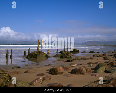 GLENBEIGH COUNTY KERRY Republik Irland Europäische UNION September Blick über Rossbehy Creek in Richtung Slieve Mish Mountaims Stockfoto