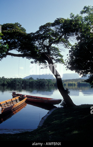 Motorisierten Kanus oder curiaras vertäut am Ufer des Rio Carrao Fluss, Canaima National Park, Bolivar, Venezuela. Stockfoto