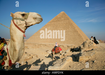 Kamelreiter vor Pyramide, Gizeh, Ägypten, Nordafrika, Afrika Stockfoto