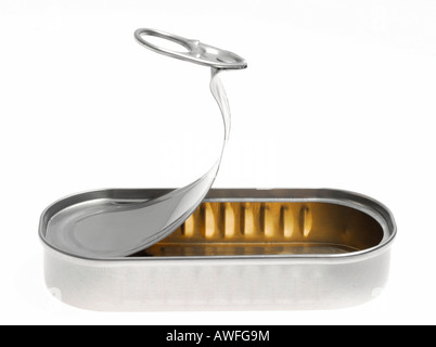 Leere Dose Stockfoto