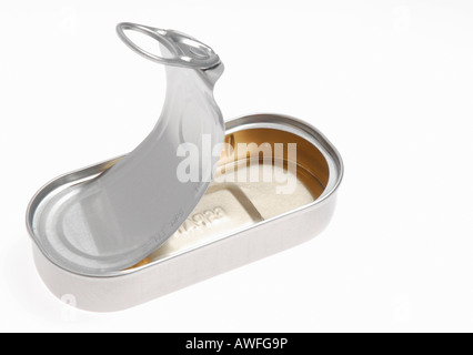 Leere Dose Stockfoto
