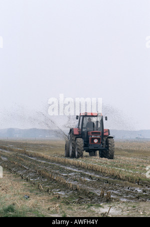 Farmer, die Verbreitung von Gülle auf ein Feld, Niederlande, Europa Stockfoto